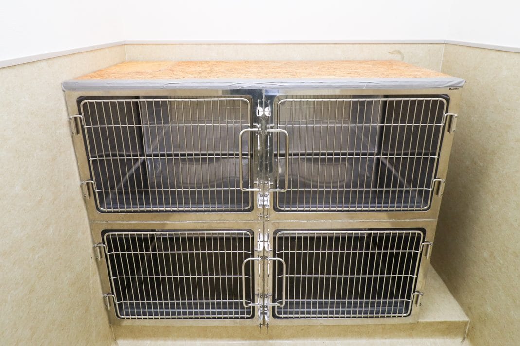 ネコちゃん入院室